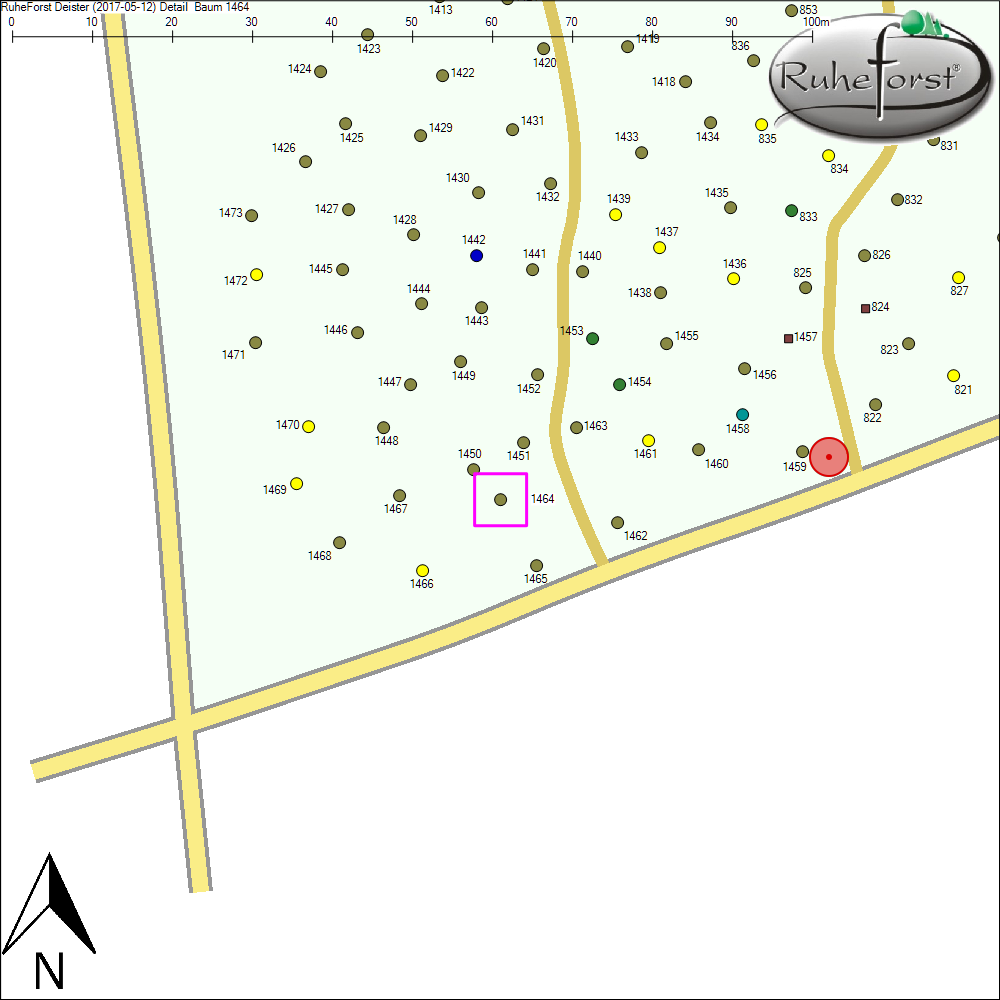 Detailkarte zu Baum 1464