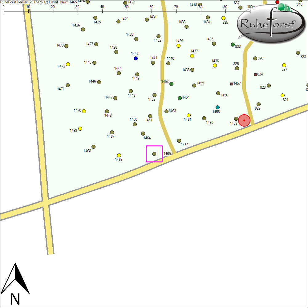 Detailkarte zu Baum 1465