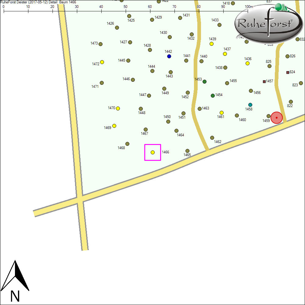 Detailkarte zu Baum 1466