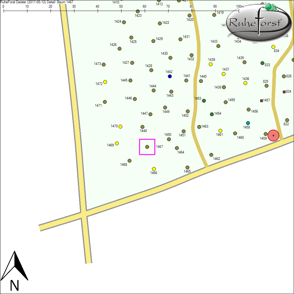 Detailkarte zu Baum 1467