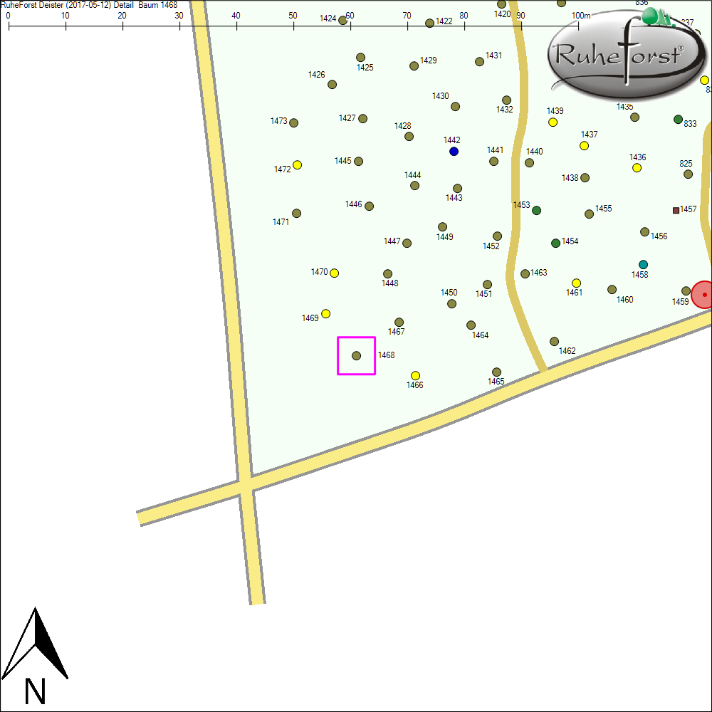 Detailkarte zu Baum 1468