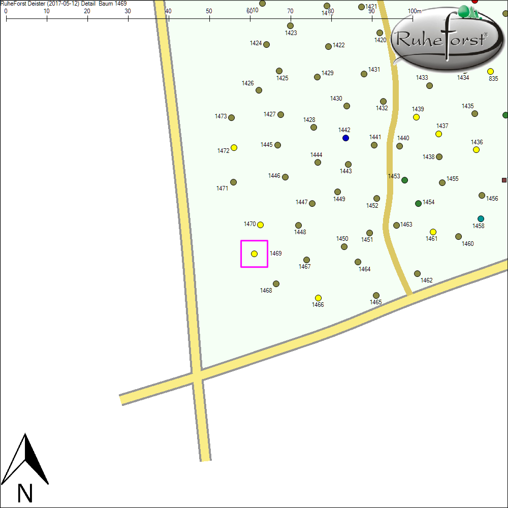 Detailkarte zu Baum 1469