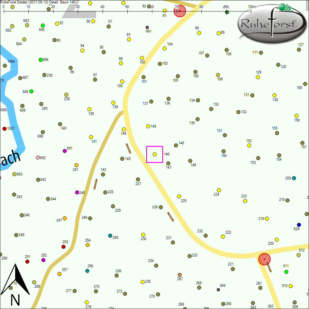 Detailkarte zu Baum 146