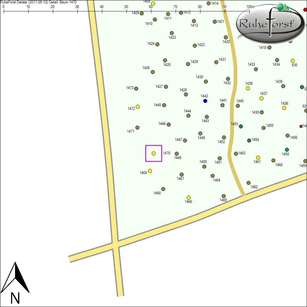 Detailkarte zu Baum 1470