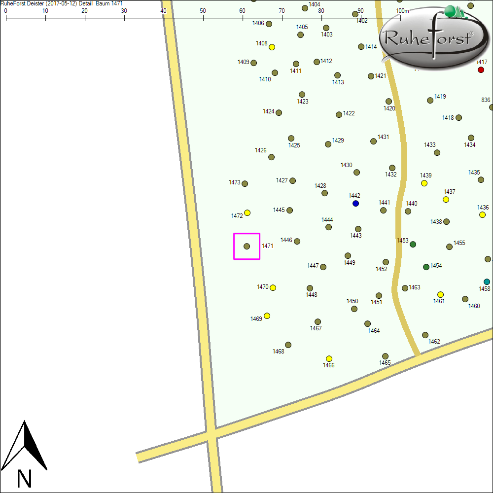 Detailkarte zu Baum 1471