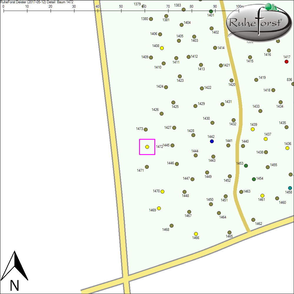 Detailkarte zu Baum 1472