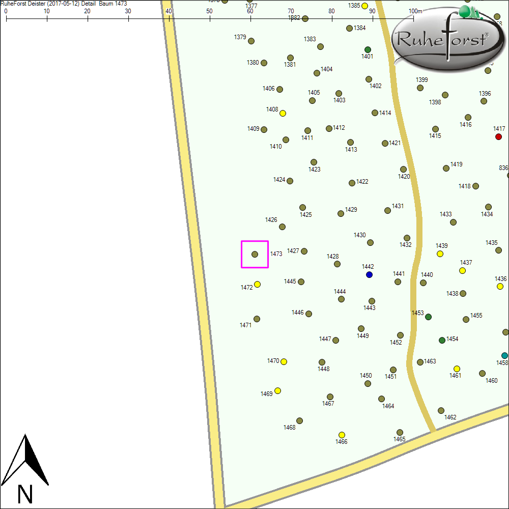 Detailkarte zu Baum 1473