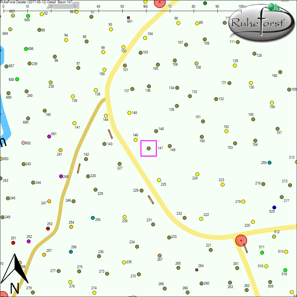 Detailkarte zu Baum 147