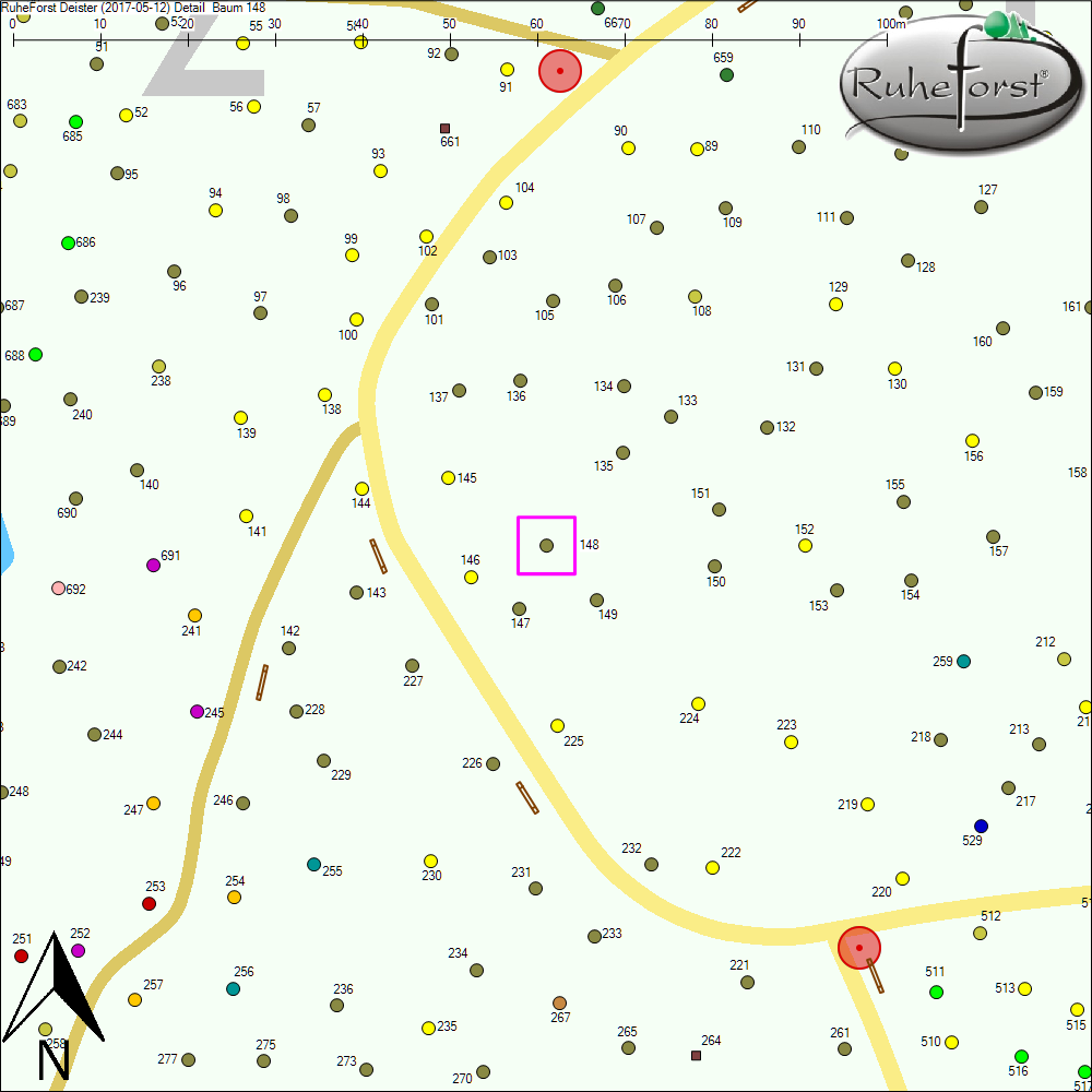 Detailkarte zu Baum 148