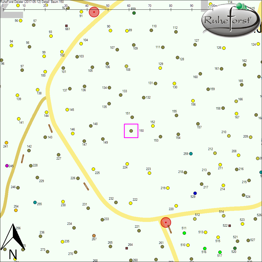 Detailkarte zu Baum 150