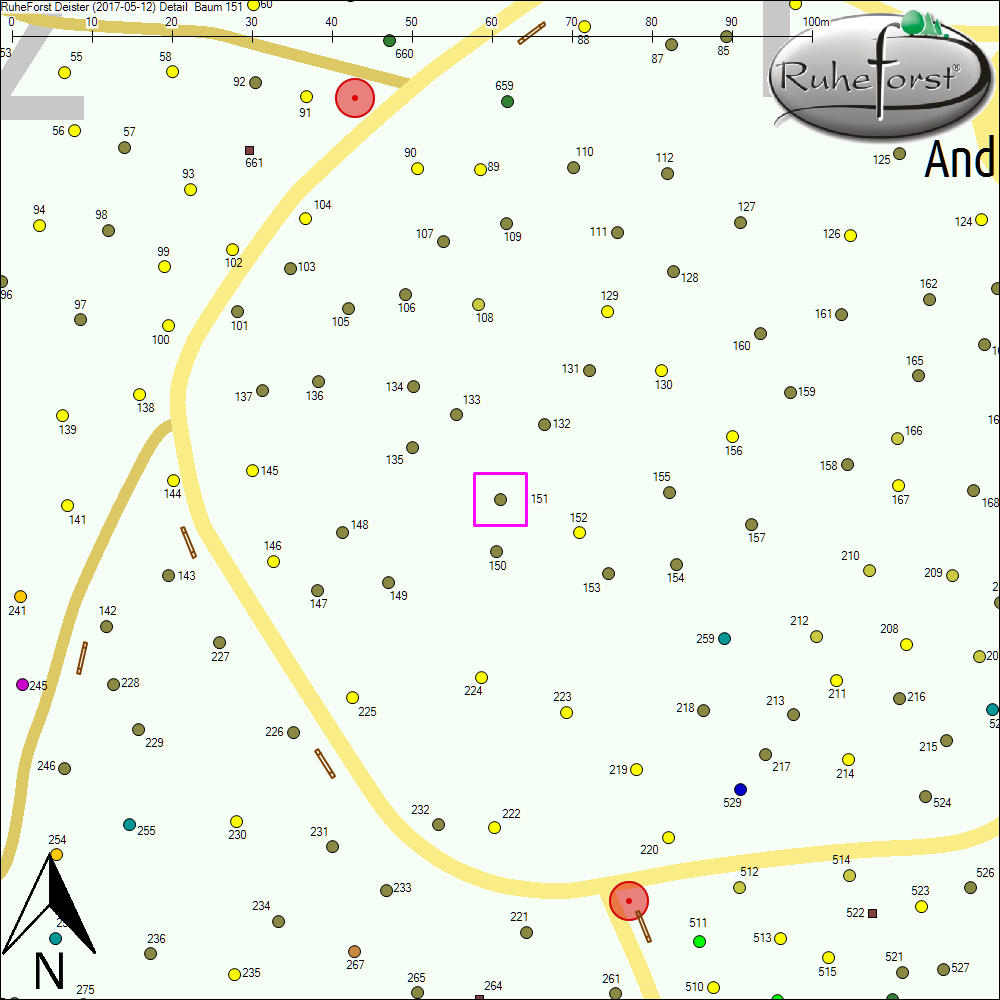 Detailkarte zu Baum 151