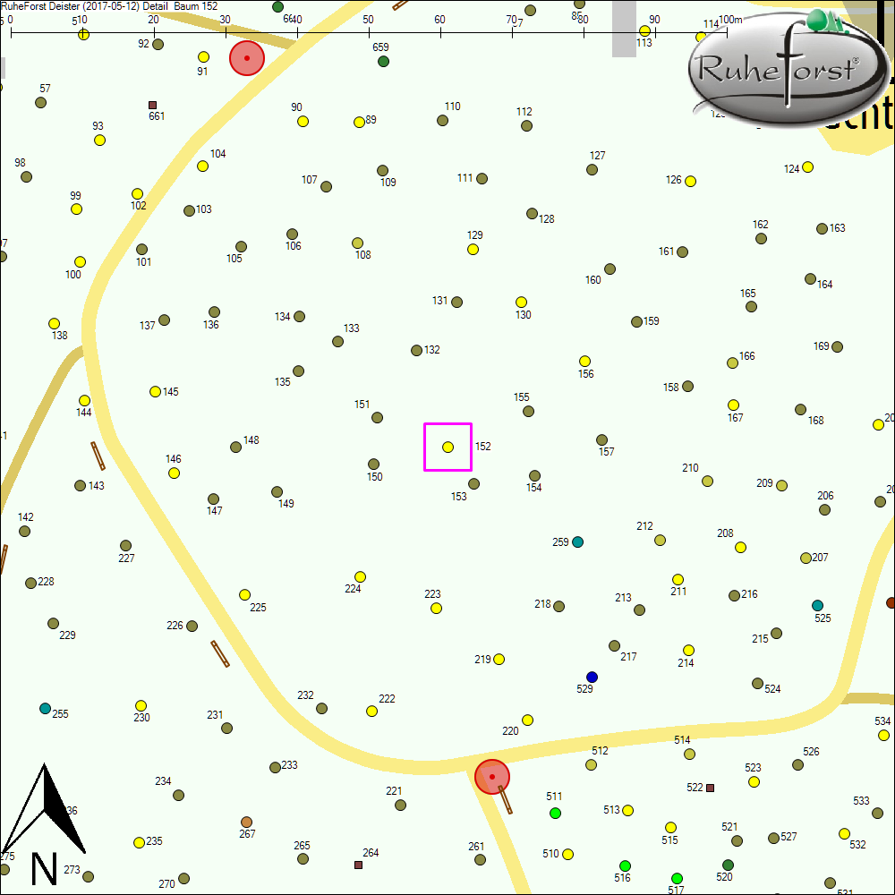 Detailkarte zu Baum 152