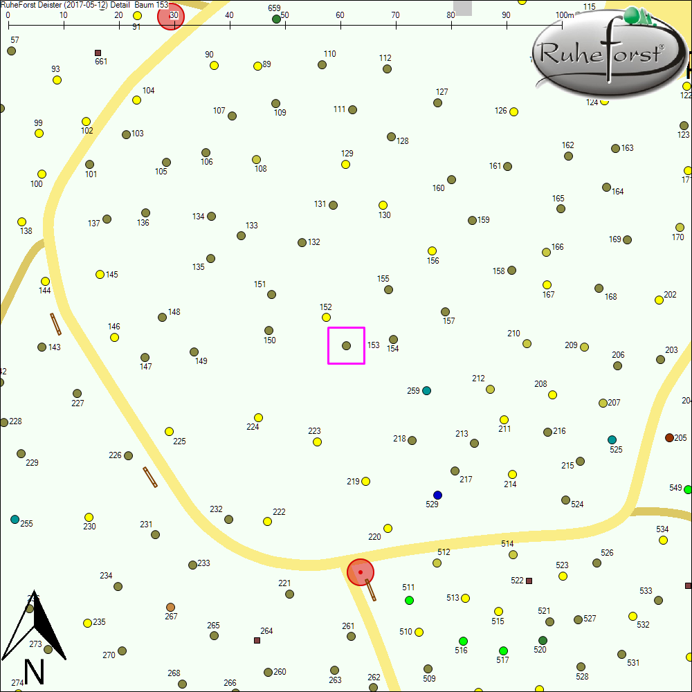 Detailkarte zu Baum 153