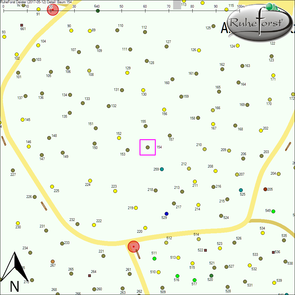 Detailkarte zu Baum 154