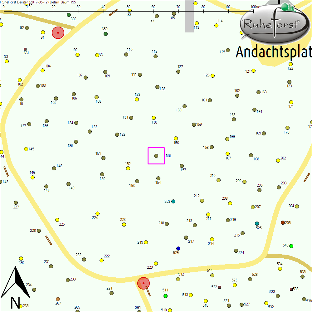 Detailkarte zu Baum 155