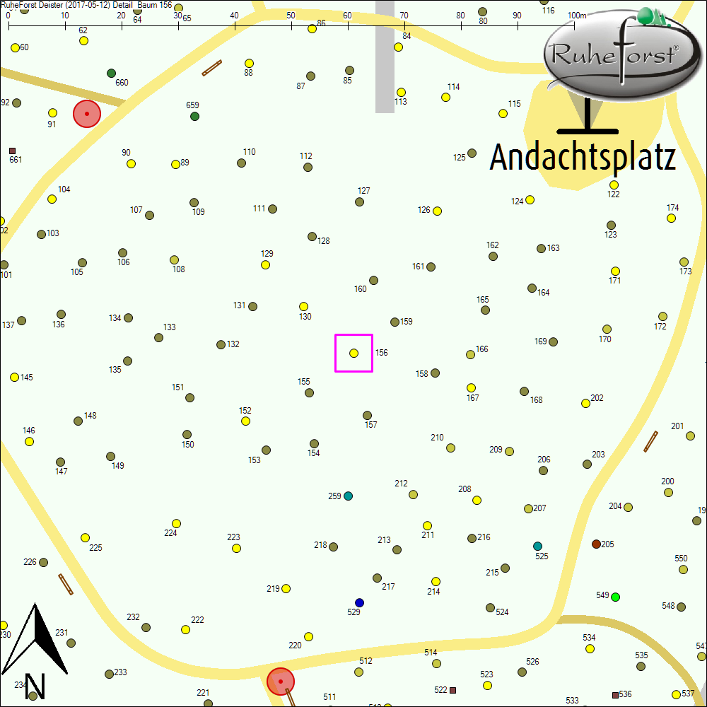 Detailkarte zu Baum 156