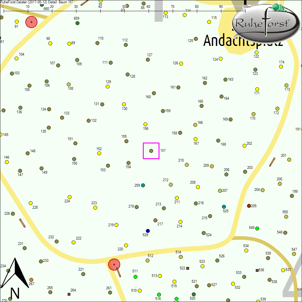 Detailkarte zu Baum 157