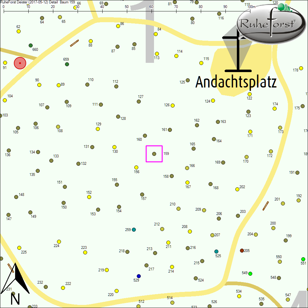 Detailkarte zu Baum 159