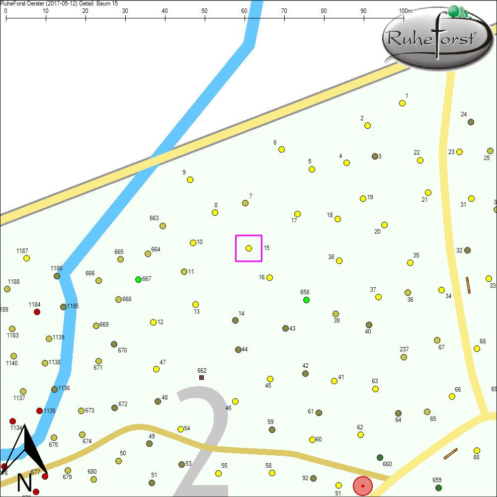 Detailkarte zu Baum 15