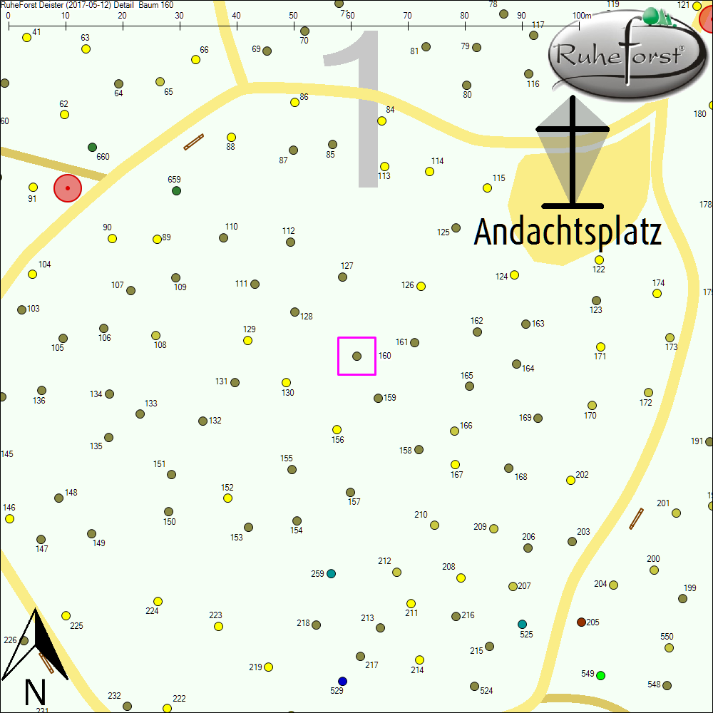 Detailkarte zu Baum 160