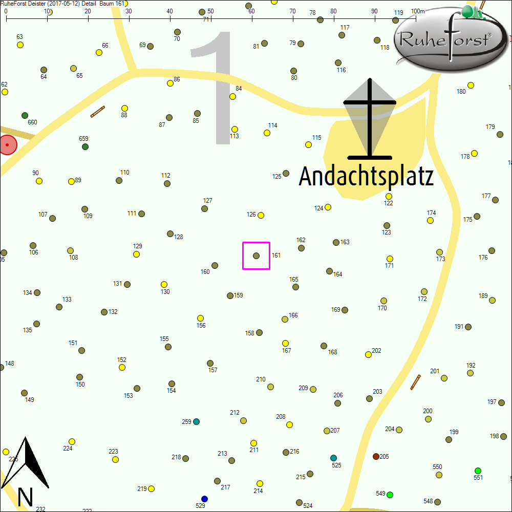 Detailkarte zu Baum 161