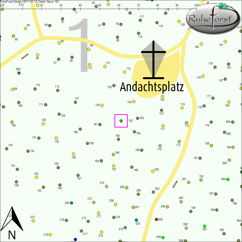 Detailkarte zu Baum 162