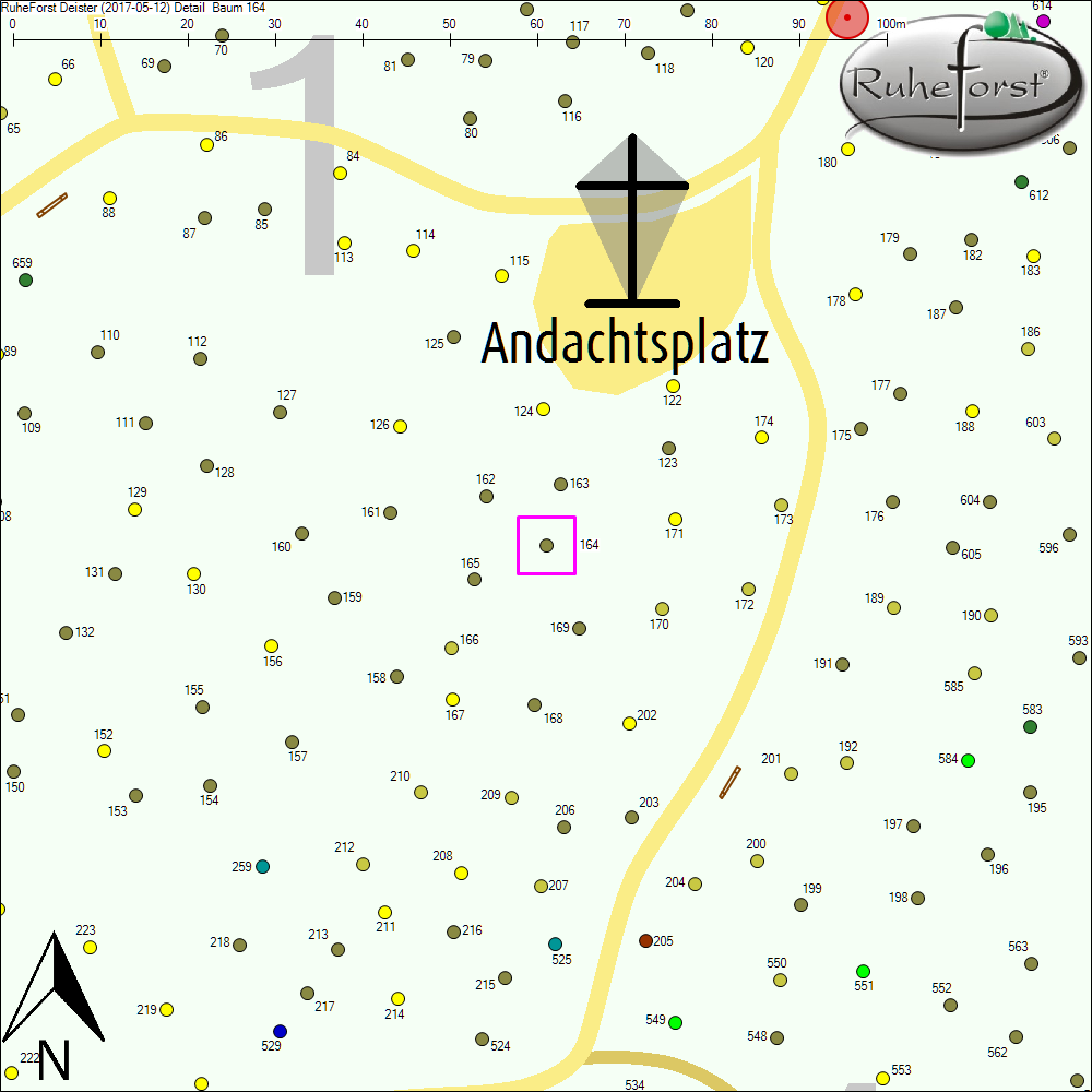 Detailkarte zu Baum 164