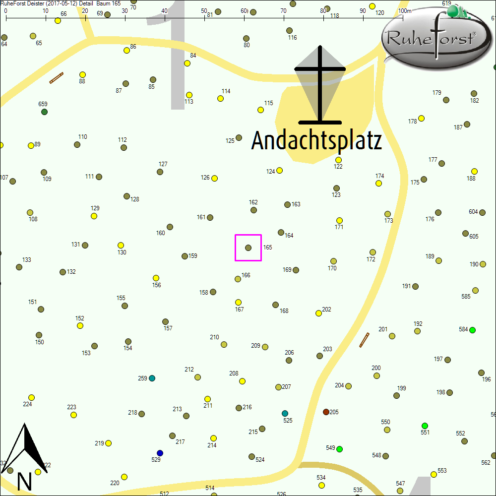 Detailkarte zu Baum 165
