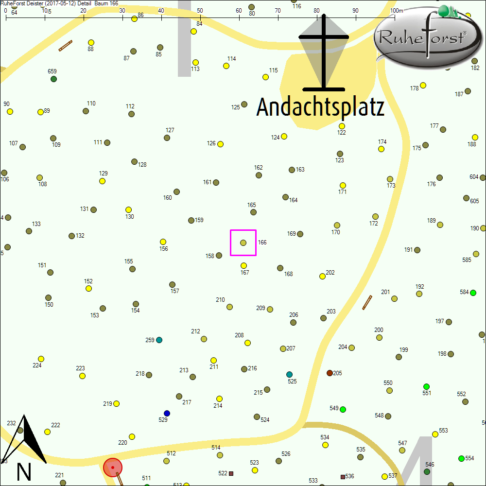 Detailkarte zu Baum 166