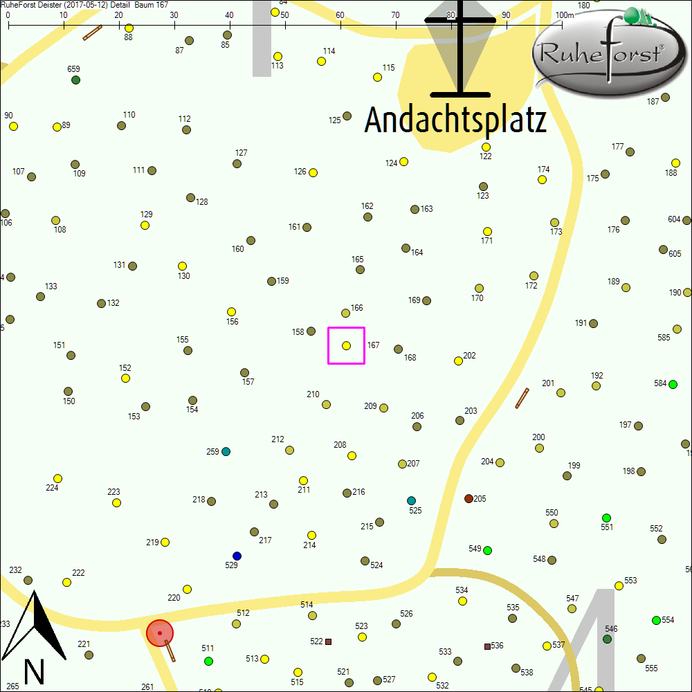 Detailkarte zu Baum 167