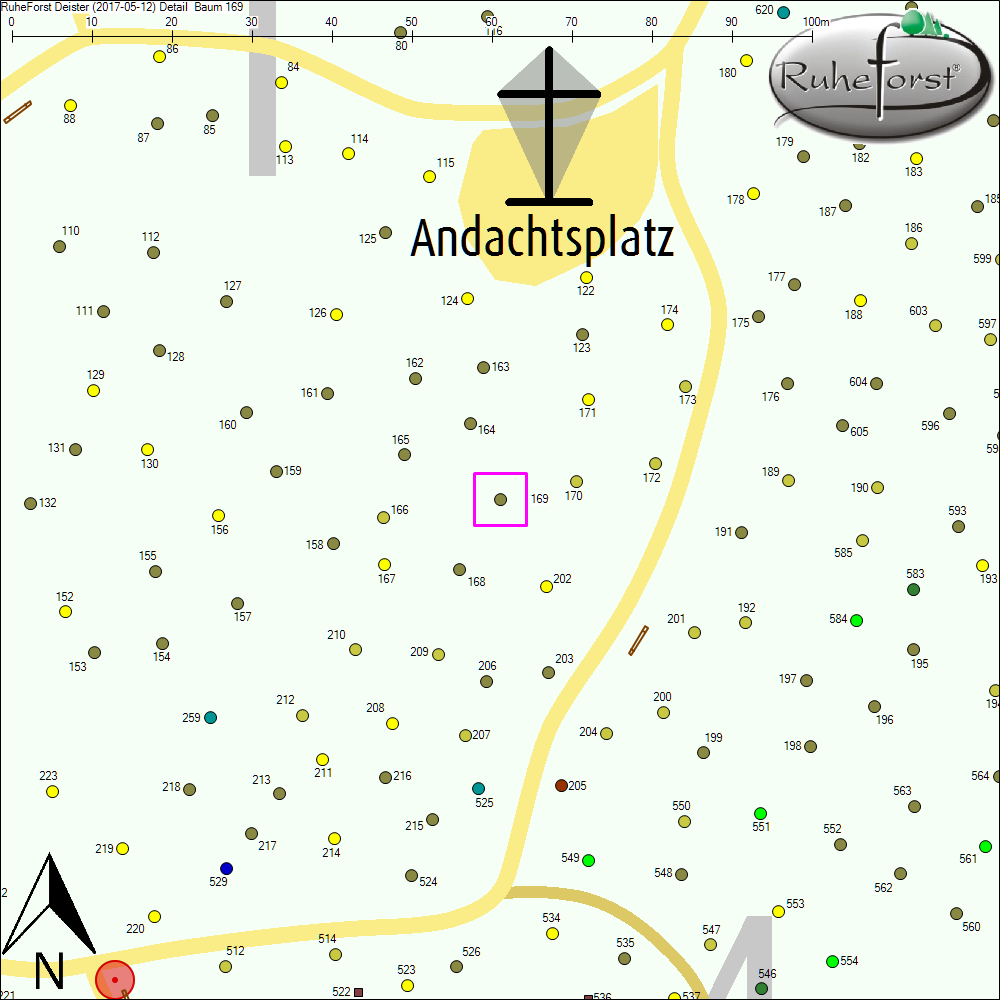 Detailkarte zu Baum 169