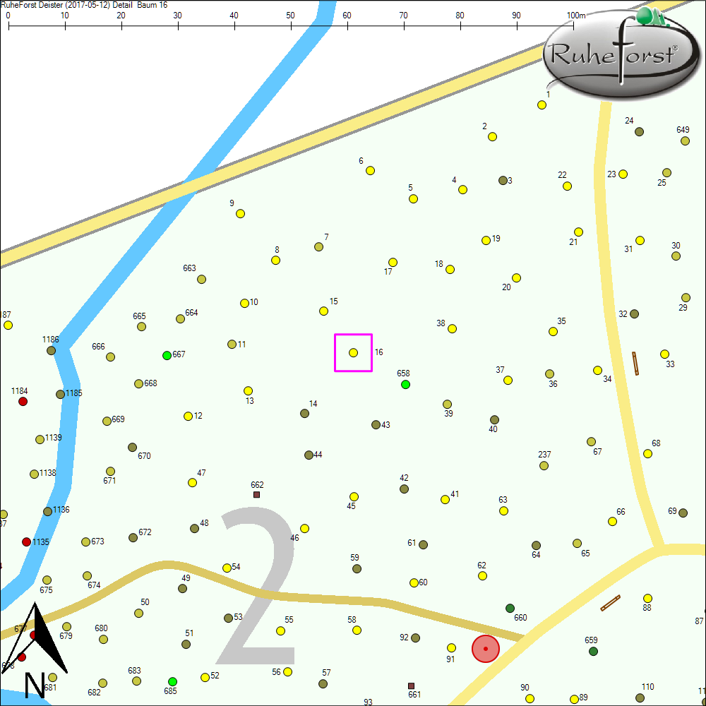 Detailkarte zu Baum 16