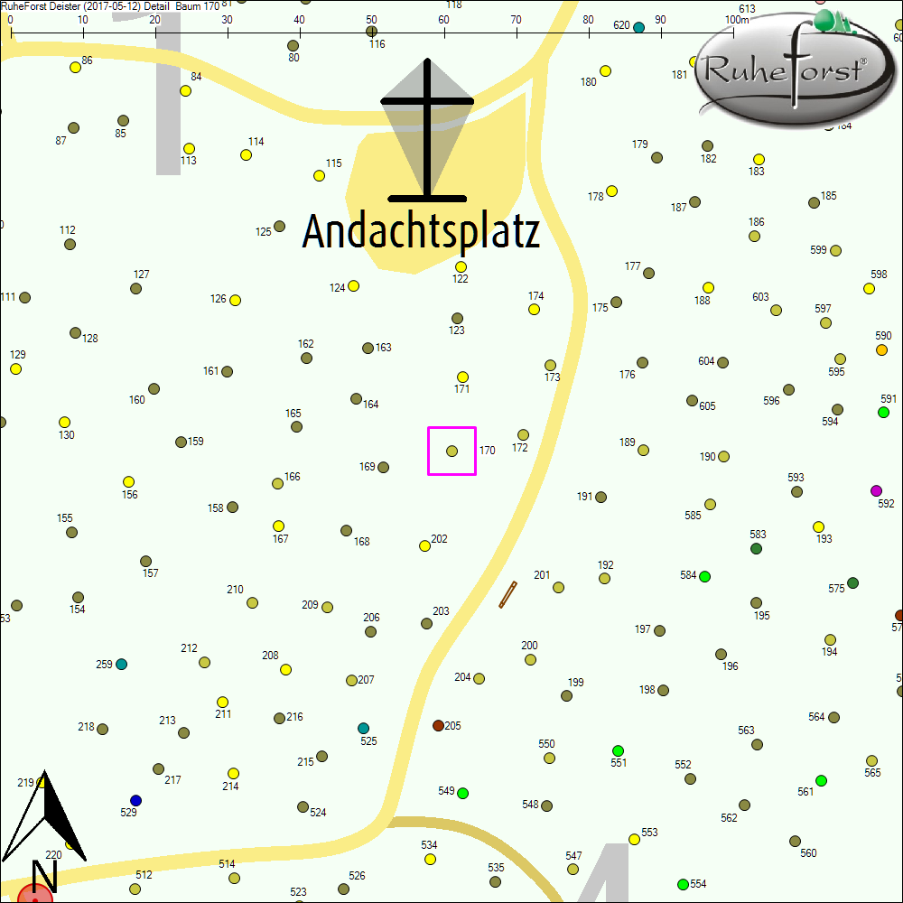 Detailkarte zu Baum 170