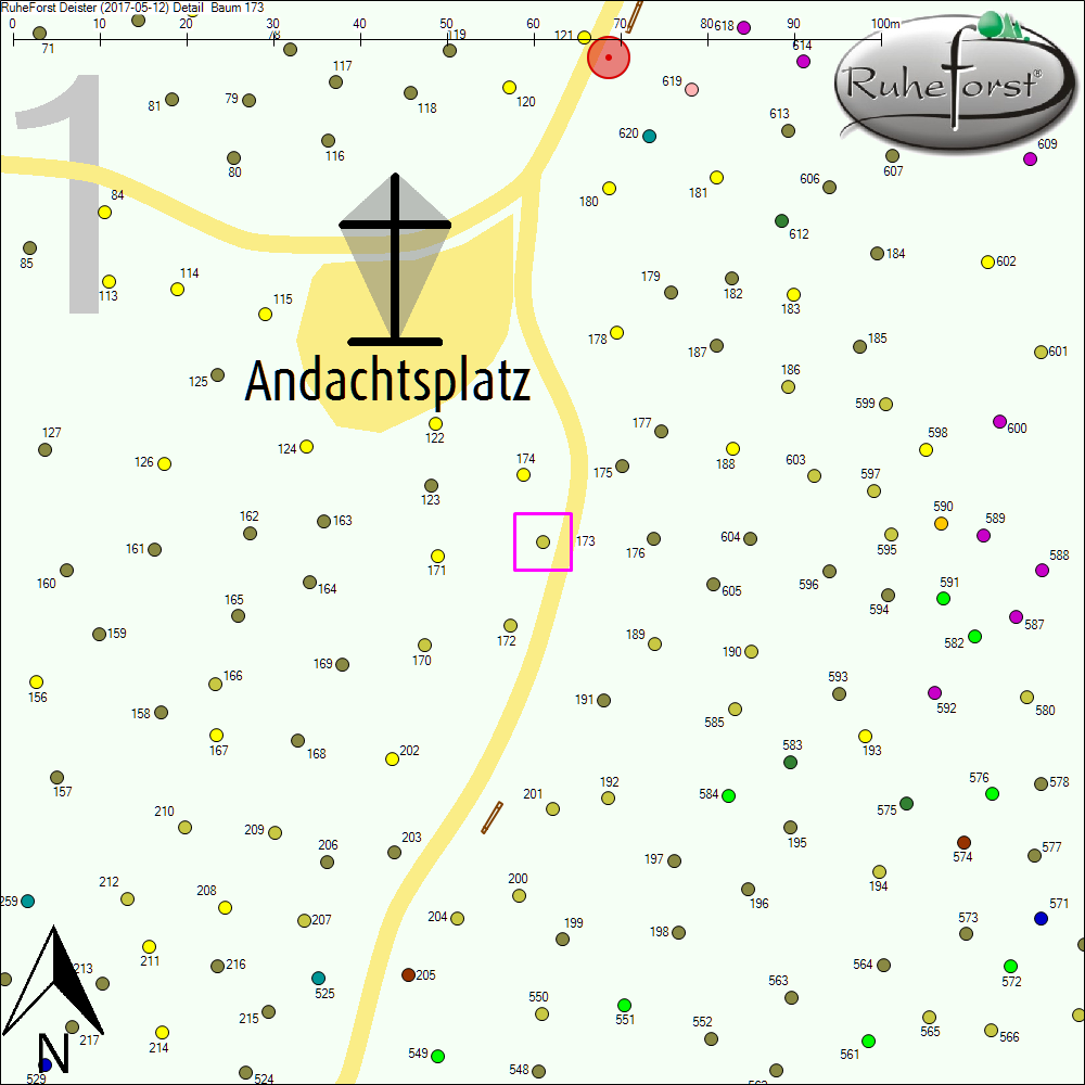 Detailkarte zu Baum 173