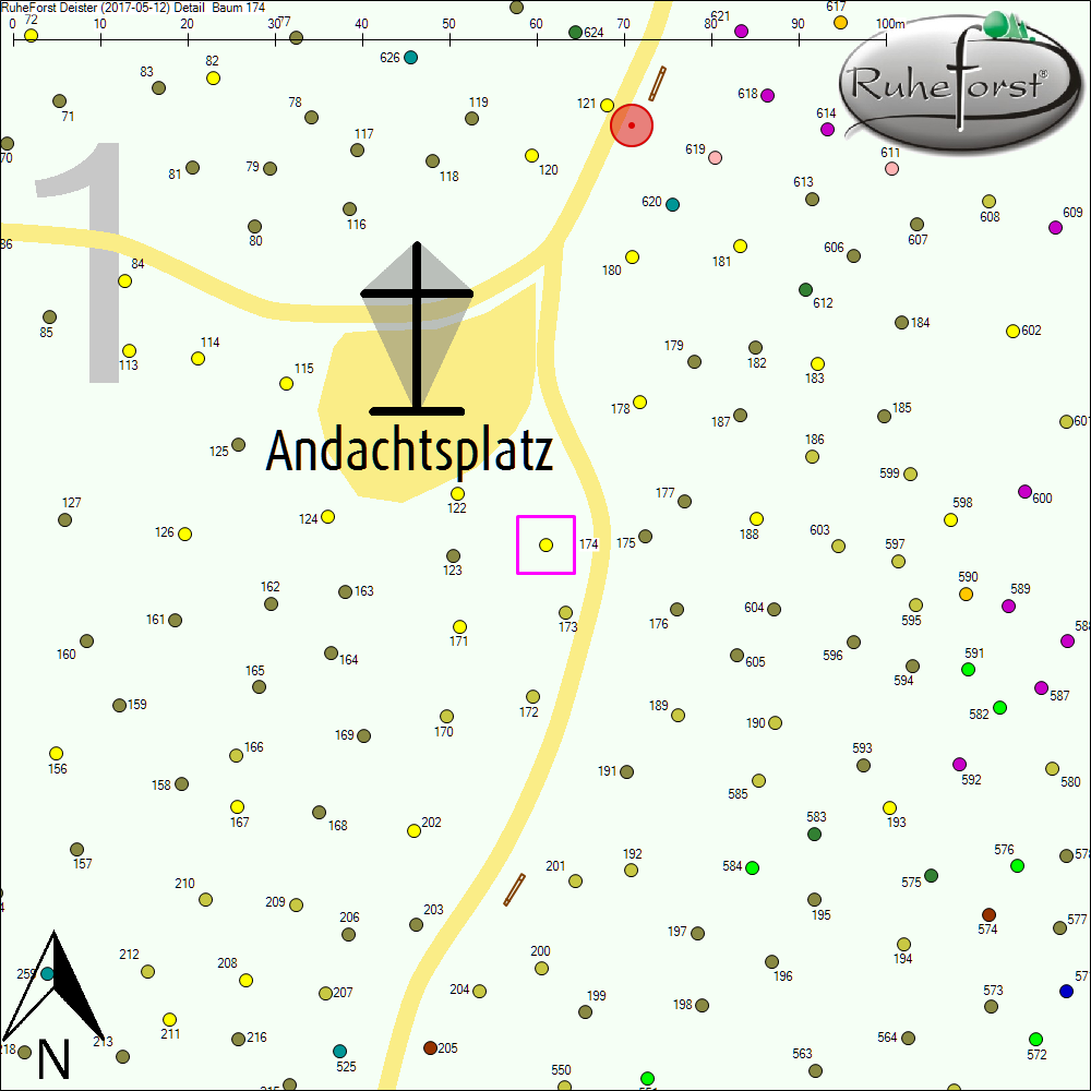Detailkarte zu Baum 174