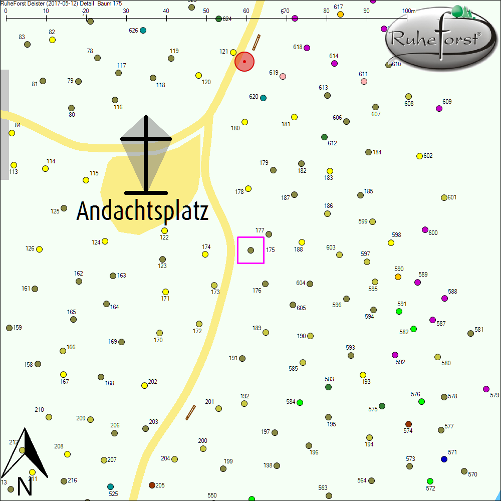 Detailkarte zu Baum 175