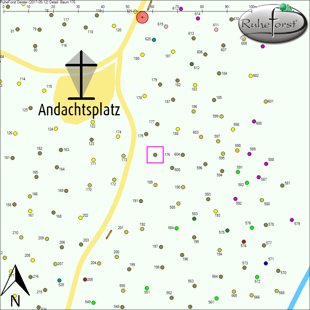 Detailkarte zu Baum 176