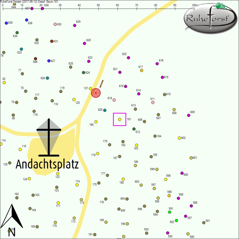 Detailkarte zu Baum 181