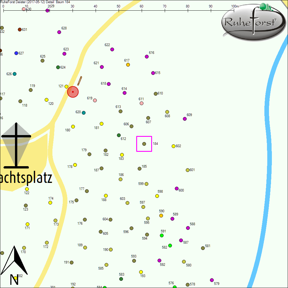 Detailkarte zu Baum 184