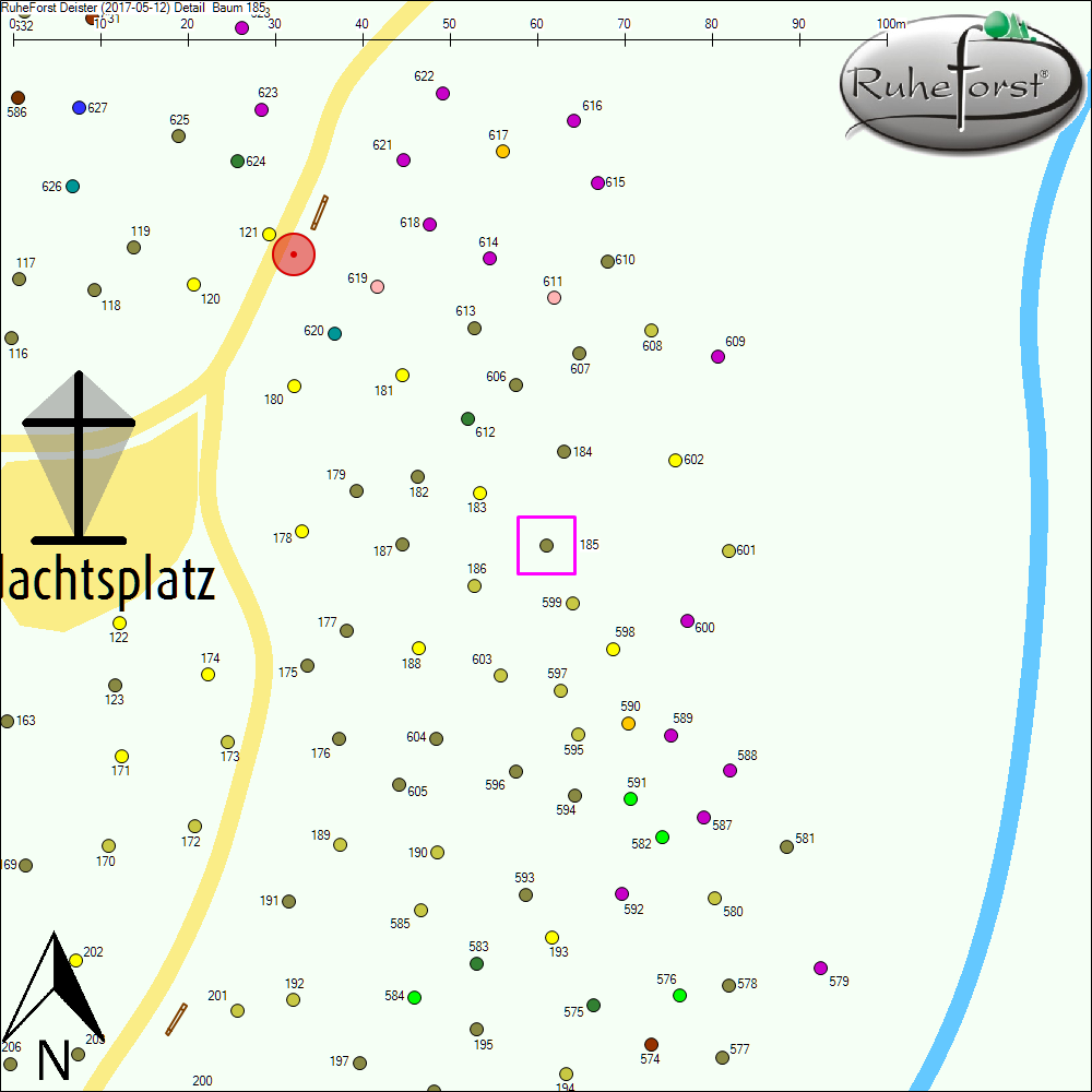 Detailkarte zu Baum 185