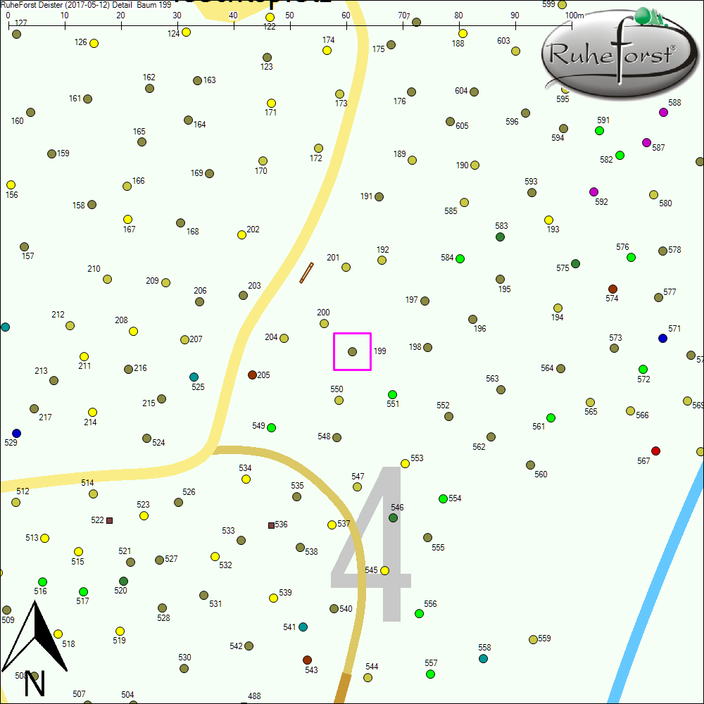 Detailkarte zu Baum 199