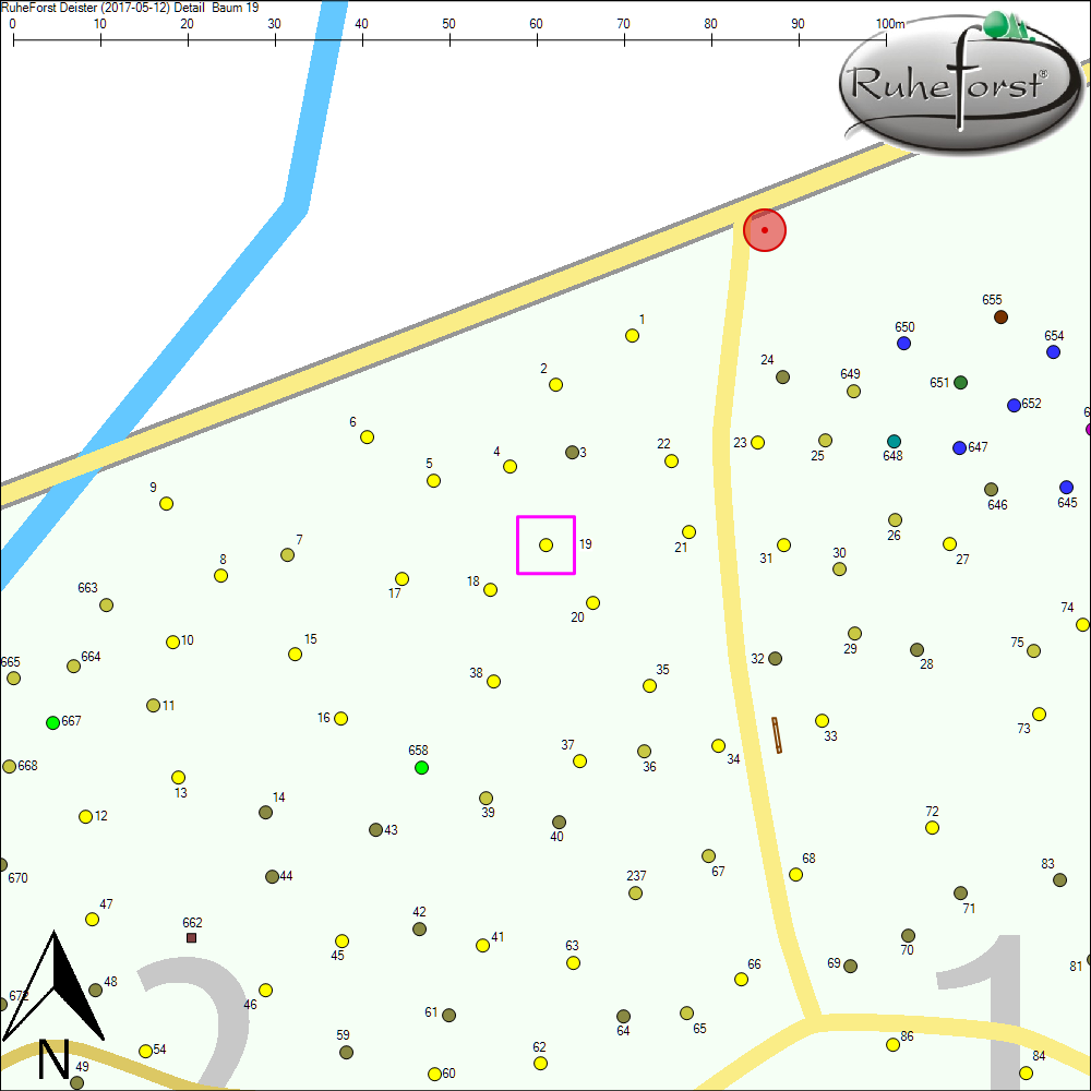 Detailkarte zu Baum 19