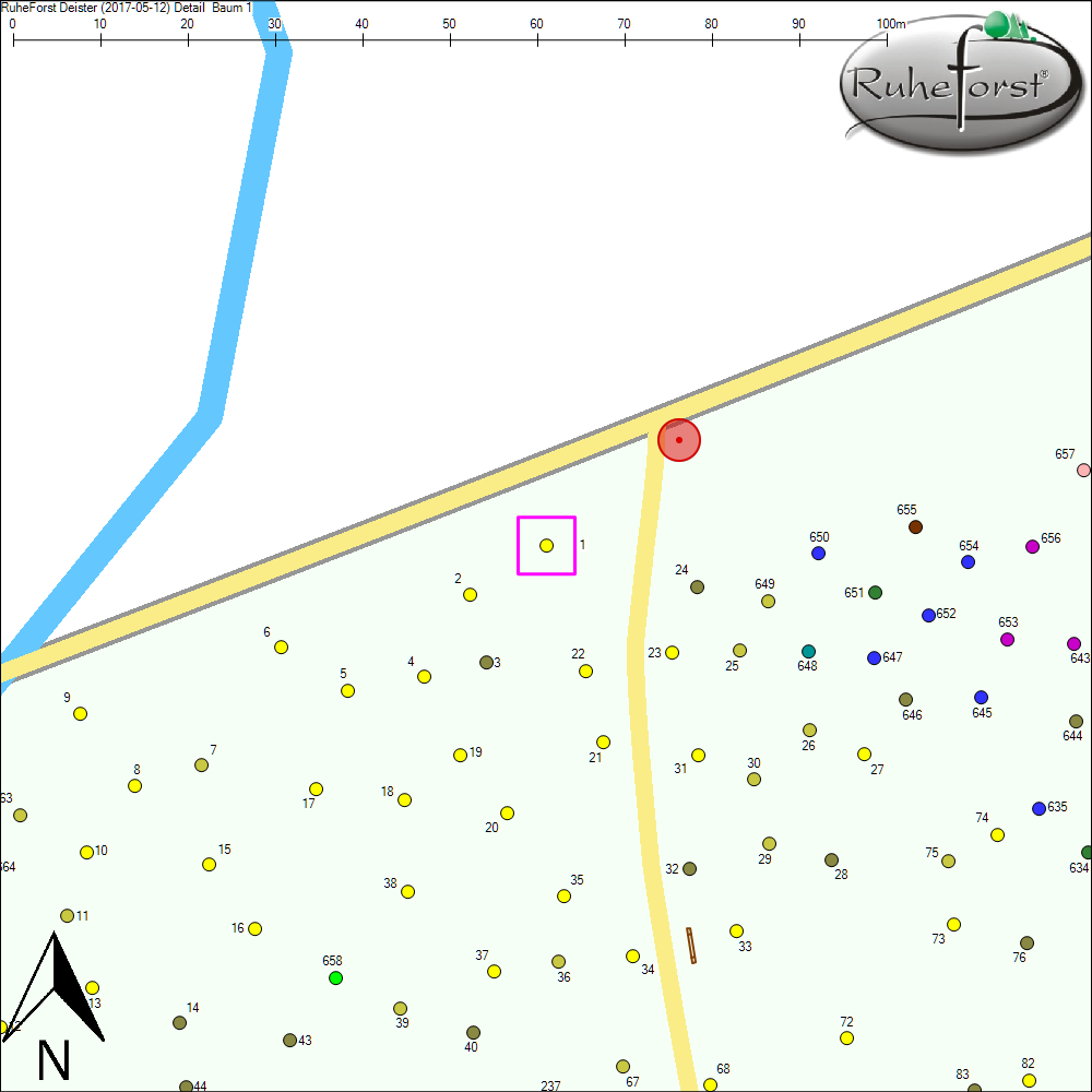 Detailkarte zu Baum 1