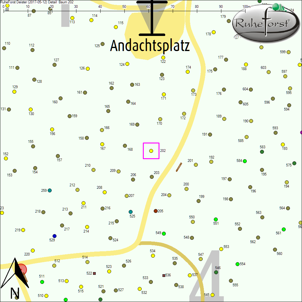 Detailkarte zu Baum 202