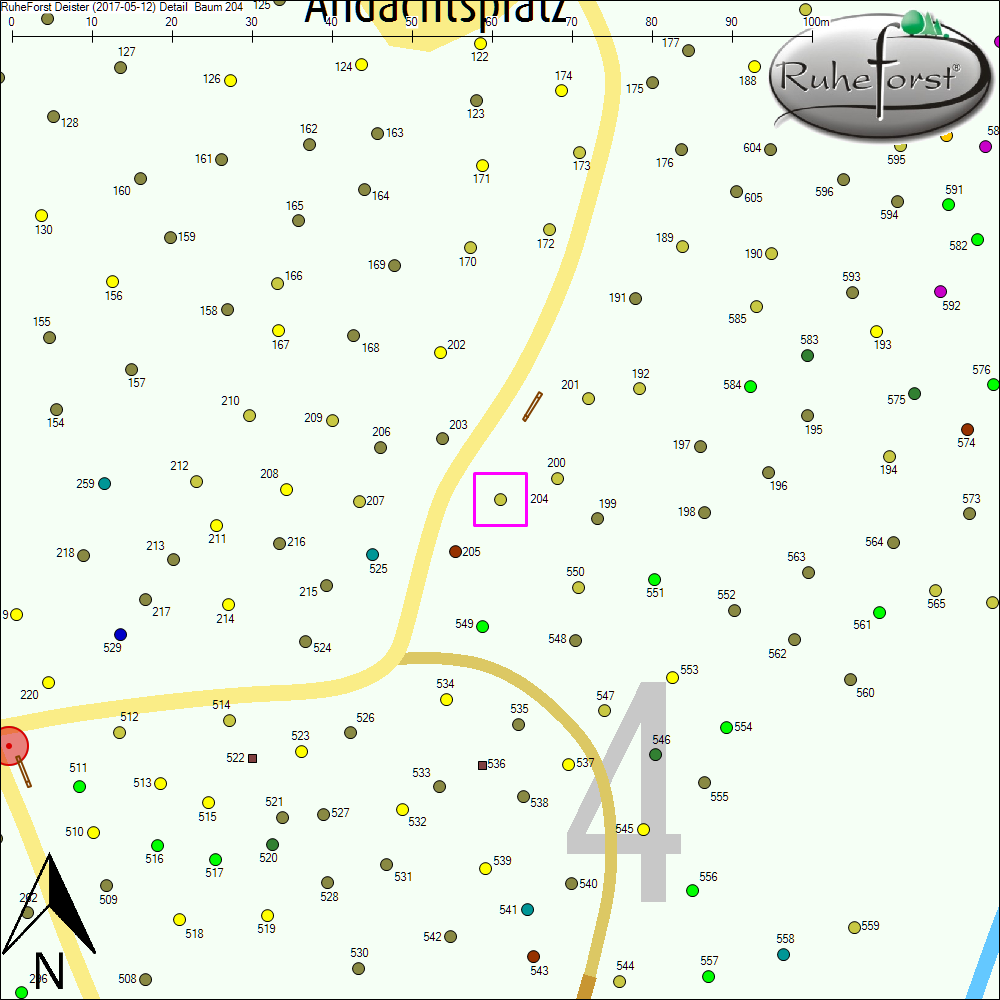Detailkarte zu Baum 204