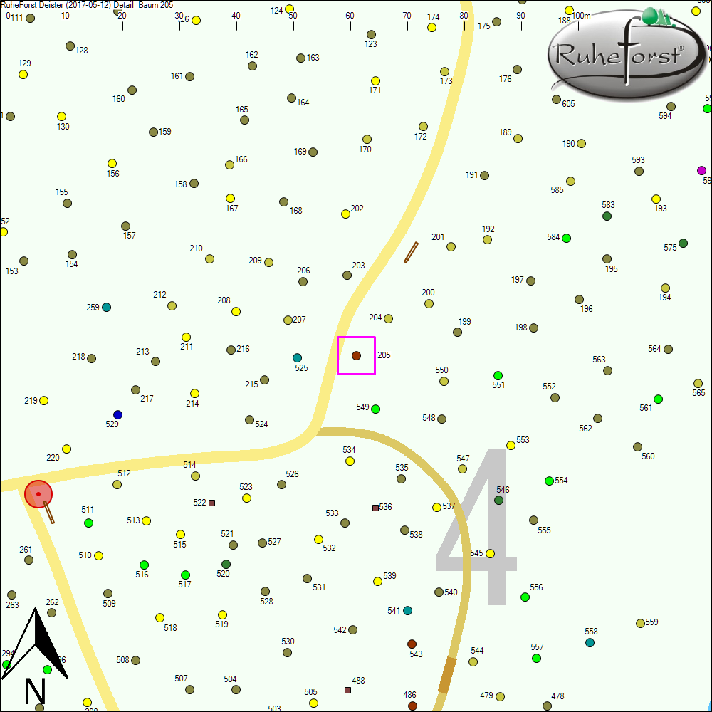Detailkarte zu Baum 205