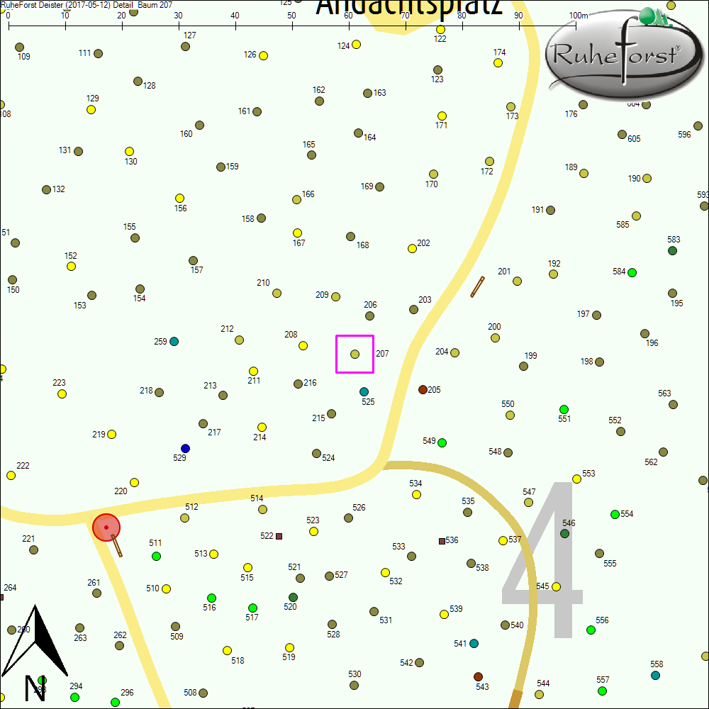 Detailkarte zu Baum 207