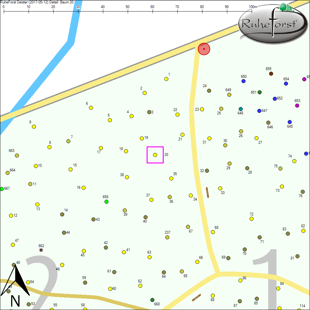 Detailkarte zu Baum 20