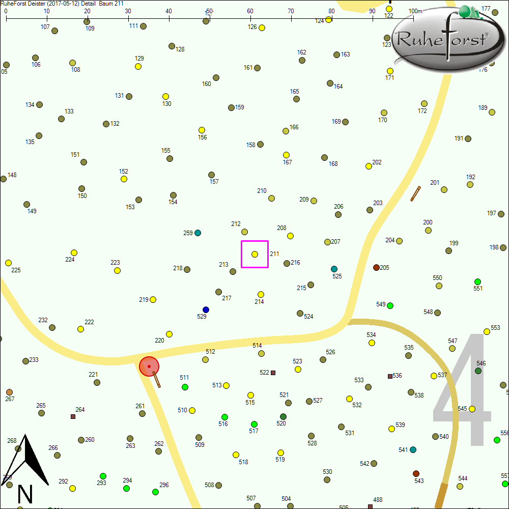 Detailkarte zu Baum 211