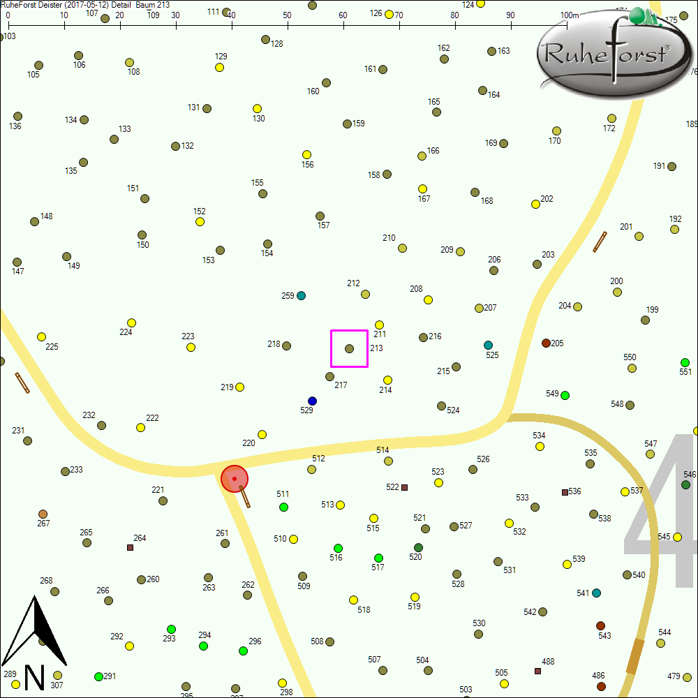 Detailkarte zu Baum 213